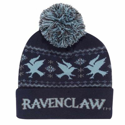 HARRY POTTER Unisex Adult Snow Ravenclaw Beanie