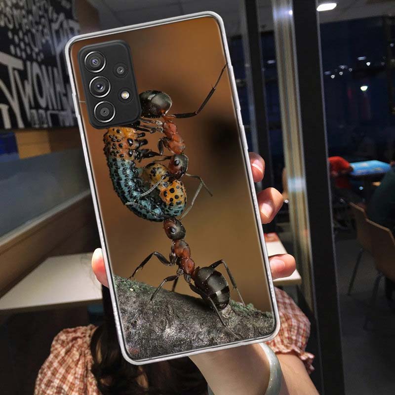 Red Fire Ants, Worker Ants Phone Case for Samsung A54 A57 A37 A17 A14 A15 A12 A24 A34 A55 A35 A25 A52S A07 A05S A04S A22 A32 A72