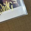 [USED] DIG-ROCK Hibiki Alive CD Bonus Autographed Polaroid