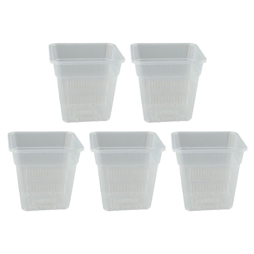 Root Observation Square Pot Designed for Optimal For Plant Growth Conditions