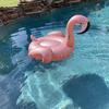 Giant Inflatable Flamingo Pool Float