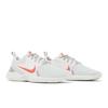 Nike Flex Experience Run 10 Platinum Tint Chile Red CI9960-009