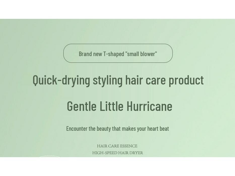 High Power Blue Light Negative Ion Hair Dryer for Home or Dorm