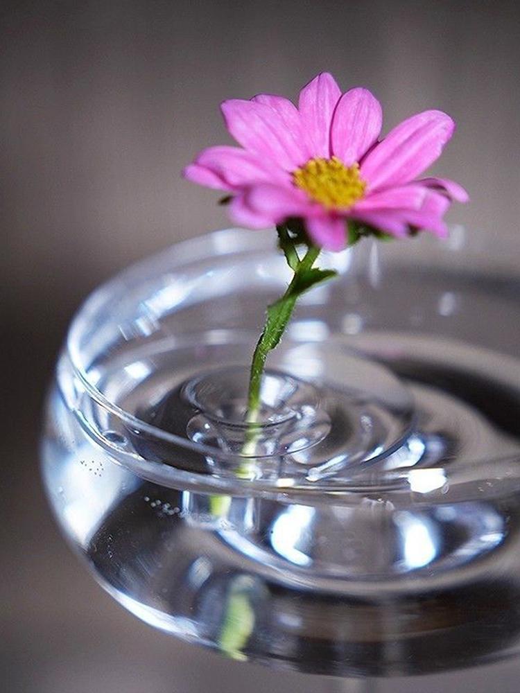 10 szt. pływających uchwytów na kwiaty do aranżacji wnętrz, przezroczysty uchwyt na łodygę misy na kwiaty, wesela, imprezy, majsterkowanie w domu