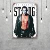 Sting Classic Poster Rusty Metal Plaque Retro Decorative Plate Bar Man Cave Garage Club Metal Sign Wall Decoration