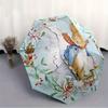 Peter Rabbit Automatic Open/Close Umbrella - Compact Travel Umbrella,  Ideal Gift, Outdoor Accessory, 109