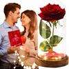 Wieczna Róża W Szkle Prezent Flower Box Dzień Kobiet Czerwona Świecąca Led