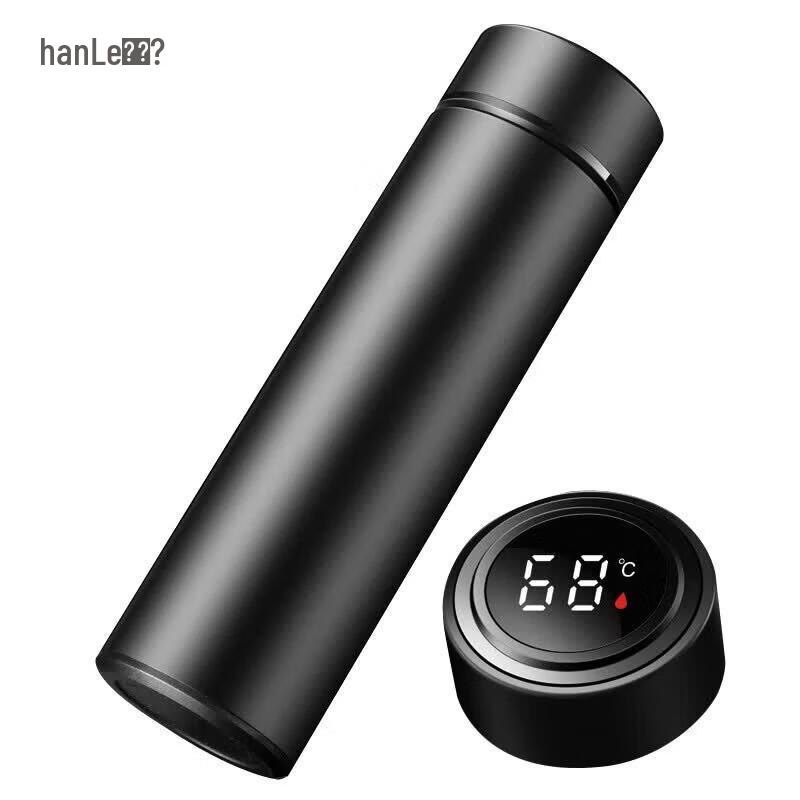 Hanle Mini 500ml 304 Stainless Steel Insulated Thermos with Temperature Display