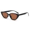 2026 European and American Cat Eye Polarized Sunglasses Trendy Men and Women Fashion Retro Sunglasses