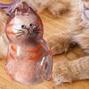 Elegant Cats Furs Storage Box With Pendant Design Pet Hair Collection Display Case Memorial Keepsakes Charm Home Decors