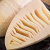 Aijiexin Fresh Wild Bamboo Shoot Tips in Clear Water, 80% Bagged Slices.