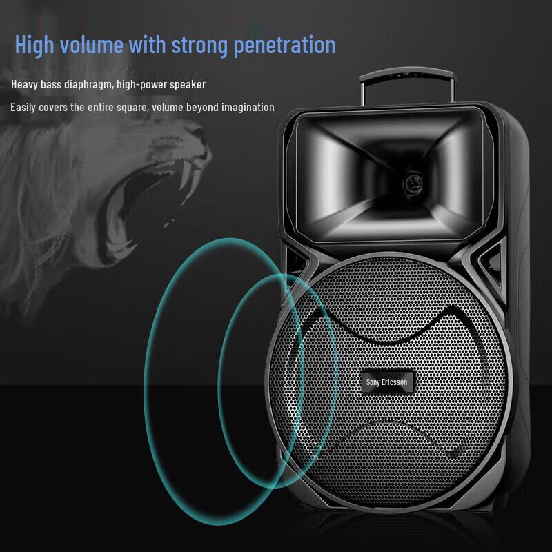 Soyoung 12-inch High Power Portable Bluetooth Karaoke Speaker