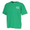 PUMA Graphics Villa Tee Safe Lake Men Short Sleeve T-Shirt