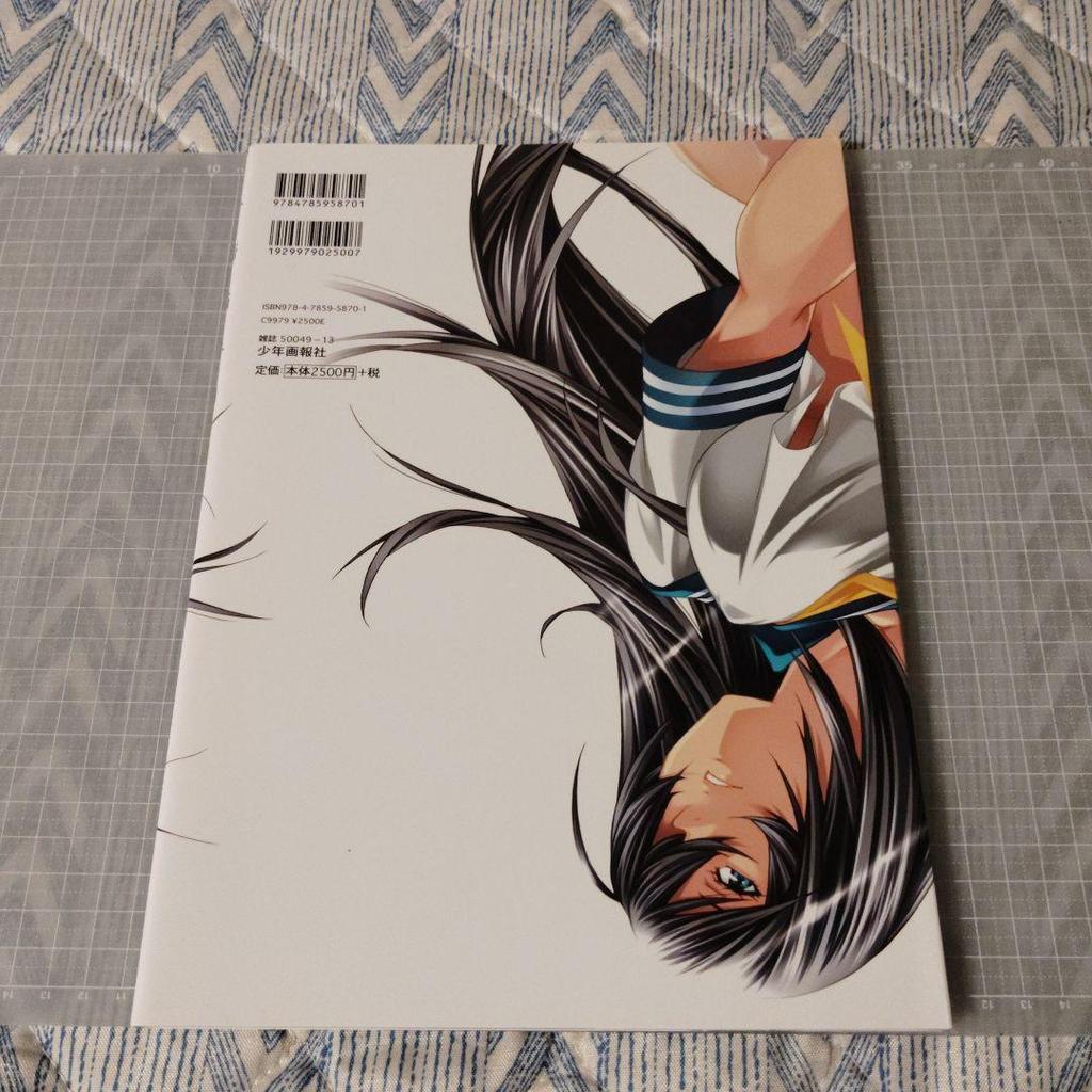 [USED] Ikki Tousen Master Works Yuji Shiozaki Art Collection