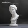 David Head Bust: Plaster Sculpture for Art Students & Teaching Aids