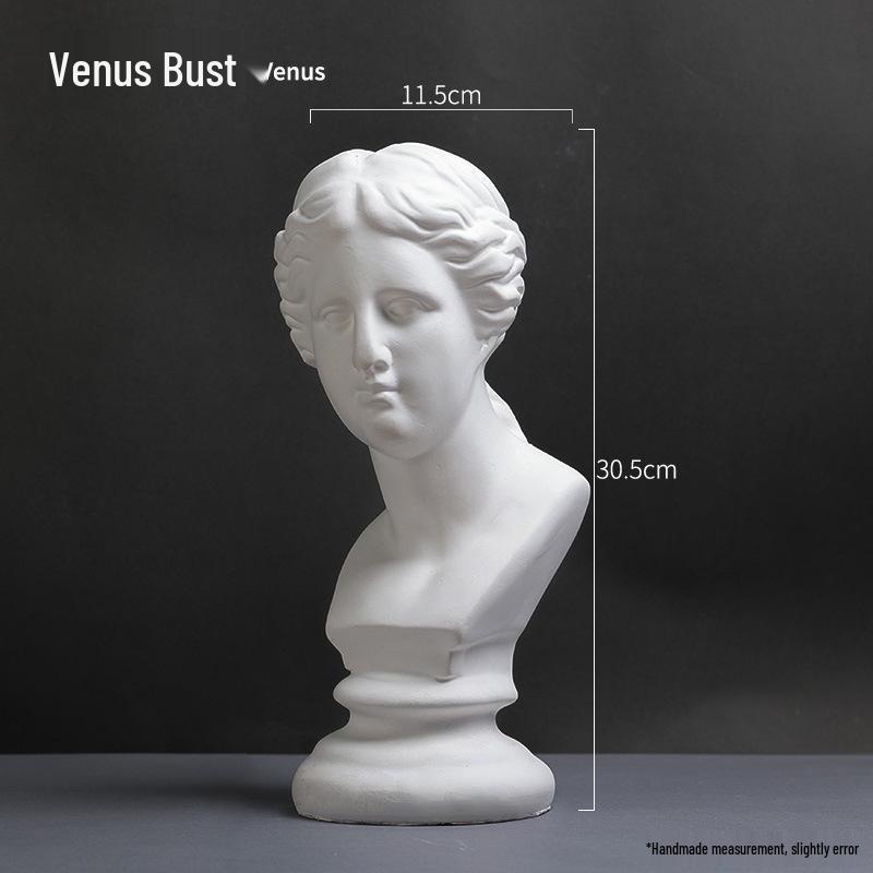 David Head Bust: Plaster Sculpture for Art Students & Teaching Aids