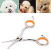 1 Stück Professionelle Tierhaarschere Edelstahl Langlebig Sicherheit Abgerundete Spitzen Katze Hund Haarschneidewerkzeuge Haustiere Pflegeschere