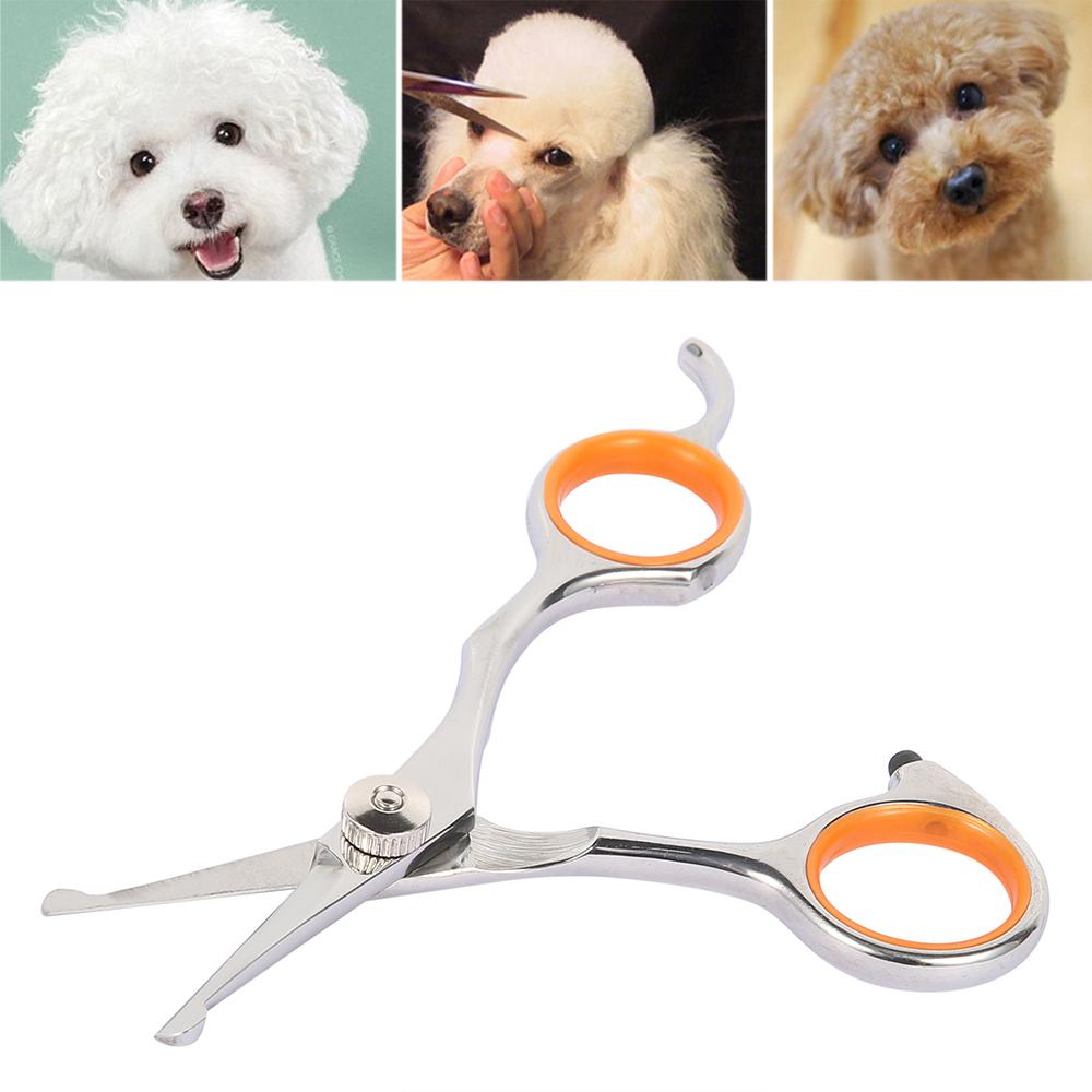 1 Stück Professionelle Tierhaarschere Edelstahl Langlebig Sicherheit Abgerundete Spitzen Katze Hund Haarschneidewerkzeuge Haustiere Pflegeschere