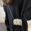 Metal Mini Bag Rhinestone Tassel Shoulder Bags Women's Chain Crossbody Chain Box Bags Gold Evening Bag