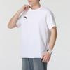 PUMA Men's Summer Short Sleeve Shorts Sport Set