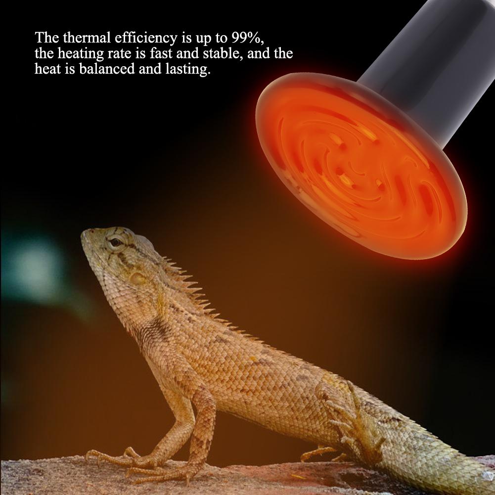 E27 Reptile Animal Ceramic Heating Lamp Infrared Pet Heat Light Lamp 220V-240V