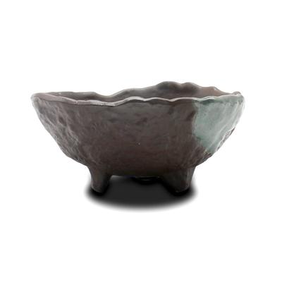 Umekichi Bonsai 5 Bonsai Udoro Yokkaichi Banko Mountain Miscellaneous Pine and Approximately 15cm Supplies, No. Pot, Rock-faced Round, Oribe-style,