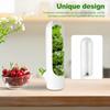 Vegetable Preservation Box Plastic Cylindrical Anti Pressure Environmentally Friendly Cup For Organizadores Storage Containers