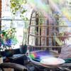 84PCS Star Window Clings - Anti-Collision Decals to Save Birds, Non-Adhesive Prismatic Vinyl, Star Style Rainbow Stickers