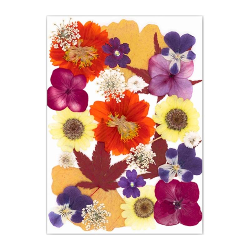 25Pcs Natural Pressed Dried Flower Leaves Set For Jewelry Soap Making