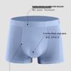 2026 Men's Antibacterial Ice Silk Seamless Boxer Briefs - Summer Thin Style