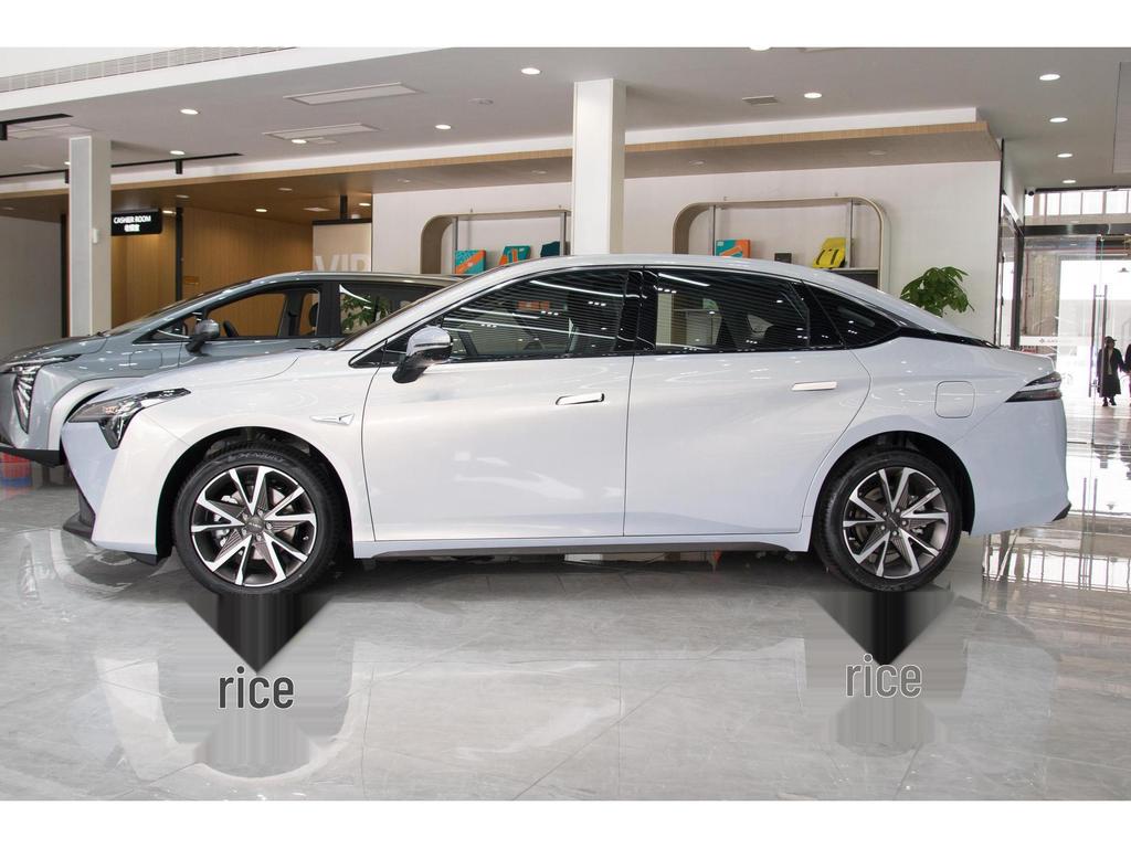 Compatible with new energy vehicles: AION wheels, 17-18 inch Aion Yplus, Aion VS aluminum rims, and spare tires.