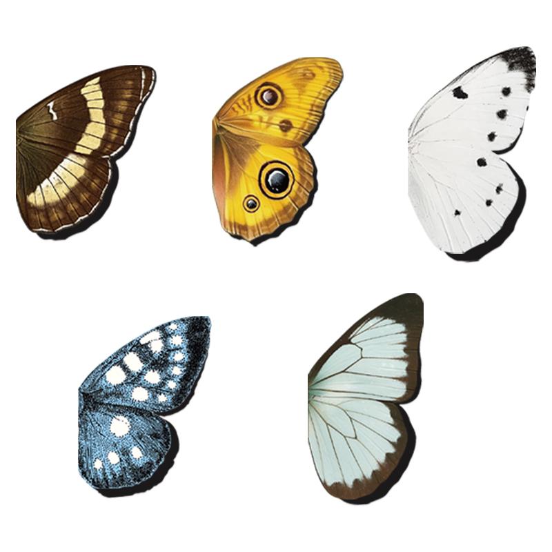 5 Pcs Colourful Butterfly Bookmarks Cute Magnetic Bookmark Double Sided Magnetic Page Markers Page Clip Buckles for Book Lover