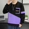 Men's Color Block Round Neck Hoodie - Spring & Autumn Fashion for Teens