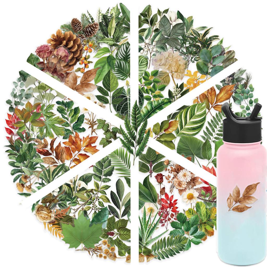 100 Pcs Colorful Plant Leaf Stickers - Transparent Decor for Journals, Phone Cases, Guitars, Backpacks RecordingYourLife Store