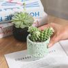 Milk White Creative Volcanic Stone Pattern Cement Succulent Flower Pot Office Home Desktop Decoration Green Plant Flowers
