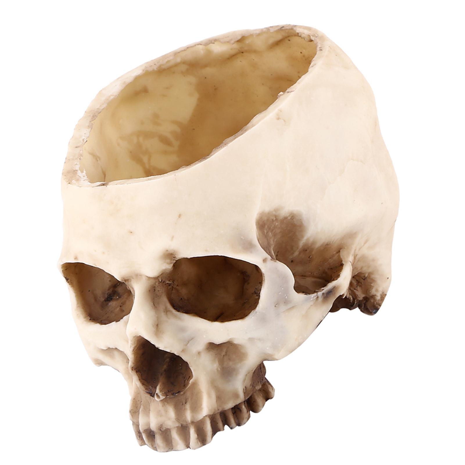 

1pc Resin Skull Head Design Flower Pot Planter Container Decoration
