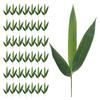 Japanese Plate Decorations Sushi Bamboo Leaves Fake for Dish Sashimi Artificial Leaf