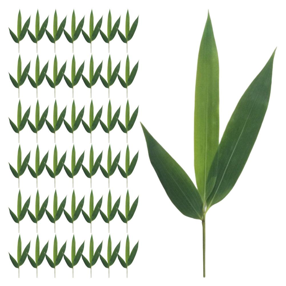 Japanese Plate Decorations Sushi Bamboo Leaves Fake for Dish Sashimi Artificial Leaf