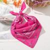Paisley Bandana with Grommet, 55cm Vintage Cotton Scarf, DIY Ring Headband Neck Scarf