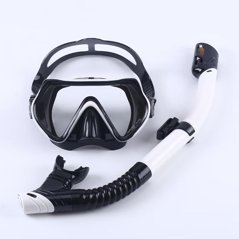 Adult Snorkeling Mask and Semi-Dry Snorkel Set