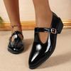 Fashion 2025 Spring T-Strap Thick Heels Pumps Women Vintage Pointed Toe Med Heel Mary Jane Shoes Woman Plus Size Pu Leather Shoes Mujer