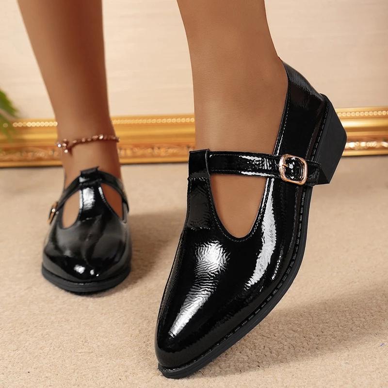 Fashion 2025 Spring T-Strap Thick Heels Pumps Women Vintage Pointed Toe Med Heel Mary Jane Shoes Woman Plus Size Pu Leather Shoes Mujer