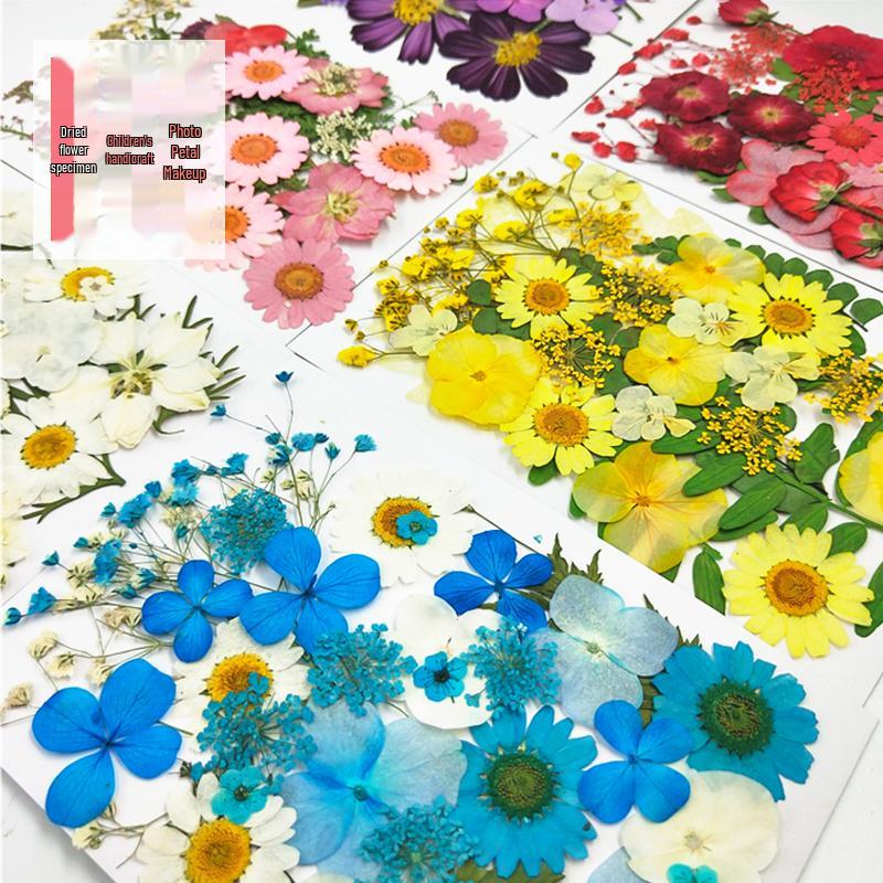 Handmade Kindergarten Collage: Real Dried Leaf and Flower Stickers for Face and Photo Decoration