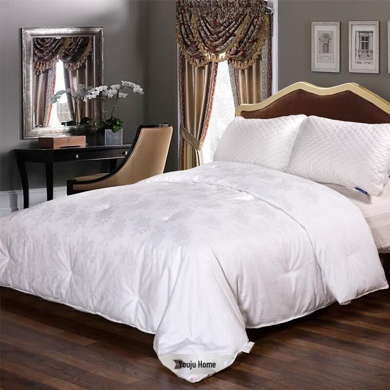 Youmengjiaju Premium Tussah Silk Quilt