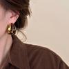 Fashion Sexy Leopard Geometric Circle Studs Earrings Women's Autumn Winter Accessories Personalization Jewerly Party Gift