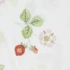 Nishikawa Box Wild Made In PK18700604W [Nishikawa] Sheet, Semi-Double, Wedgwood, Strawberry, 100% Cotton, Japan, White,