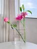 Clear Book Shaped Vase Clear Acrylic Vase Cultural Flavor Decor Acrylic Vase Clear Flower Arrangement Vase Modern Home Decor