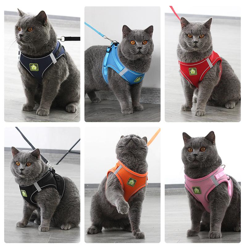 Reflective Pet Cat Harness Vest Leash Set Breathable Mesh Puppy Harnesses Adjustable Lead Leashes for Dogs Cats Supplies