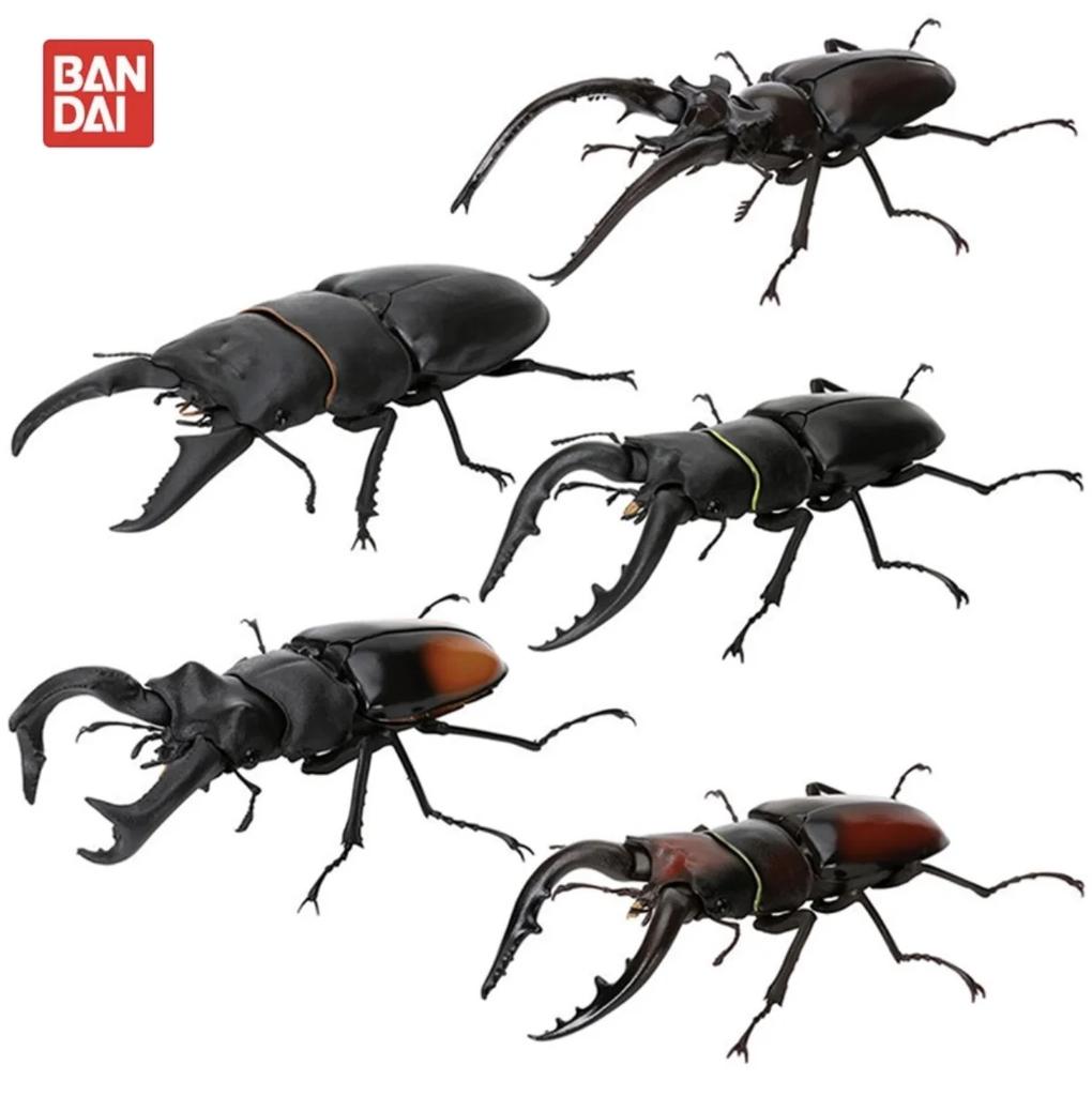 Genuine Gacha Scale Model Biological Cognitive Model Antler Beetle Simulated Moving Insect Action Figure Toys