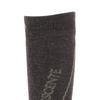 DESCENTE Far Silver Ion Arch Support Men's Socks, DWAWJB62, Antibacterial, Odor-Resistant, Thermal, Infrared, (Ag+),